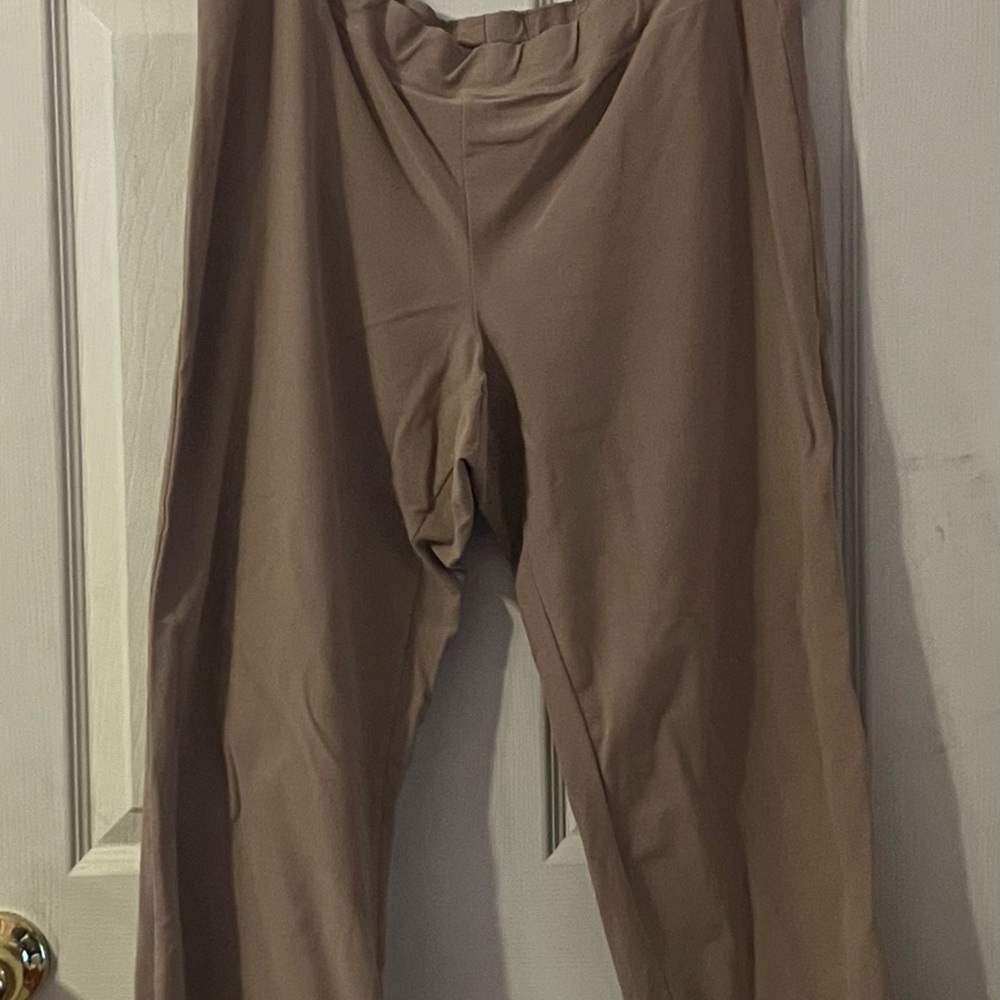 Eileen Fisher Women’s Purple Chinos